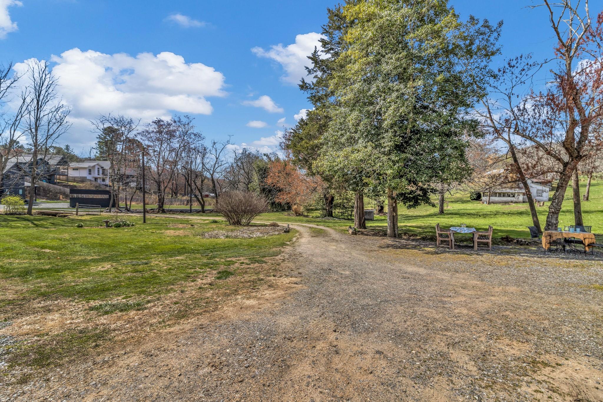 994 Riceville Road Asheville, NC 28805 - Photo 16 of 45 a view of a park with large trees