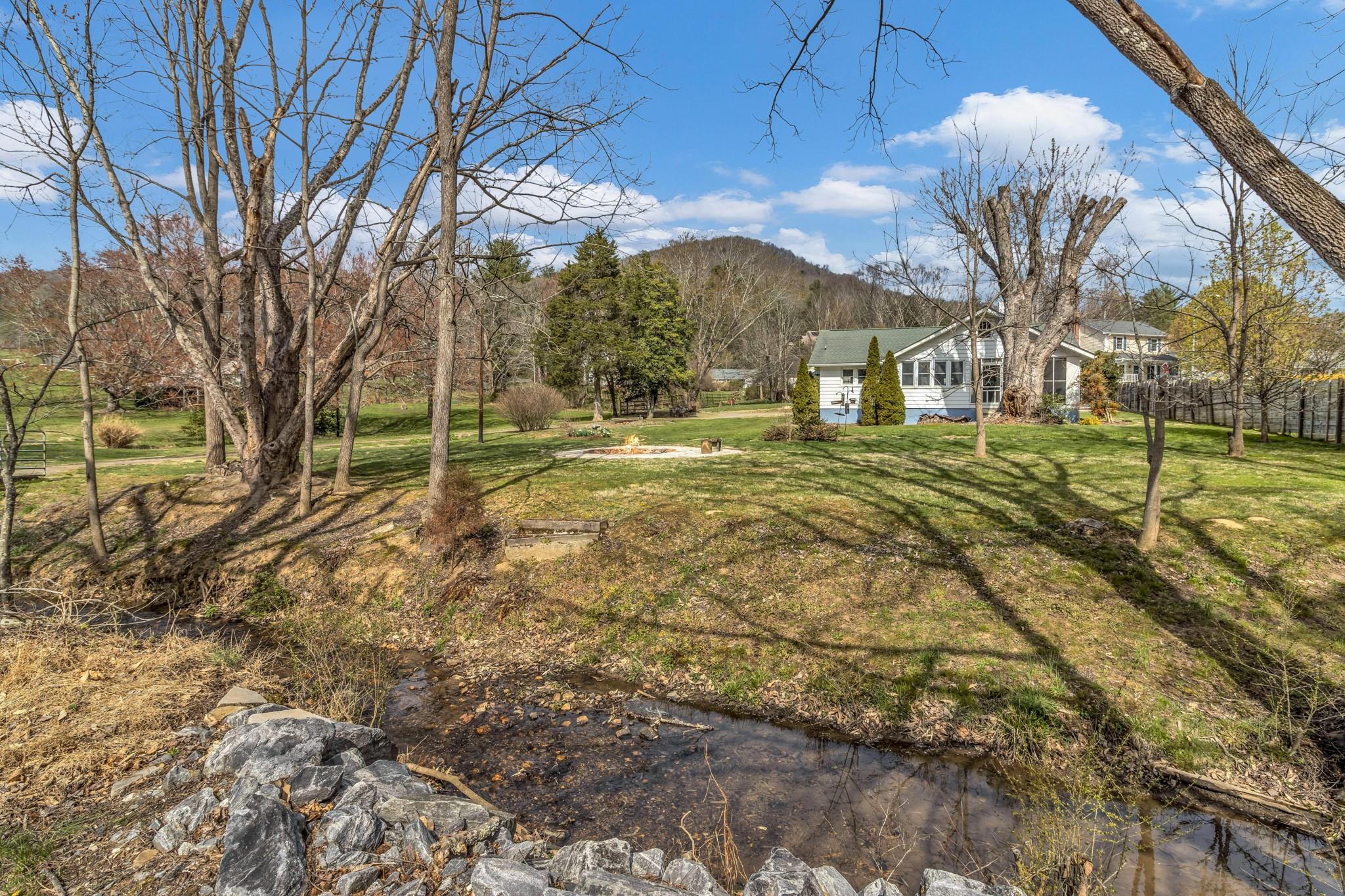 994 Riceville Road Asheville, NC 28805 - Photo 2 of 45 a view of big yard