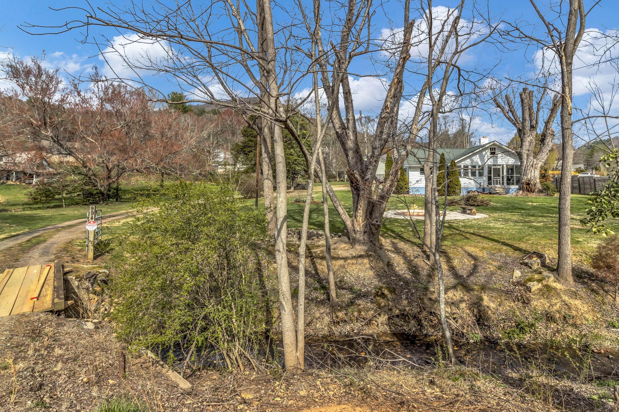 994 Riceville Road Asheville, NC 28805 - Photo 3 of 45 a view of yard