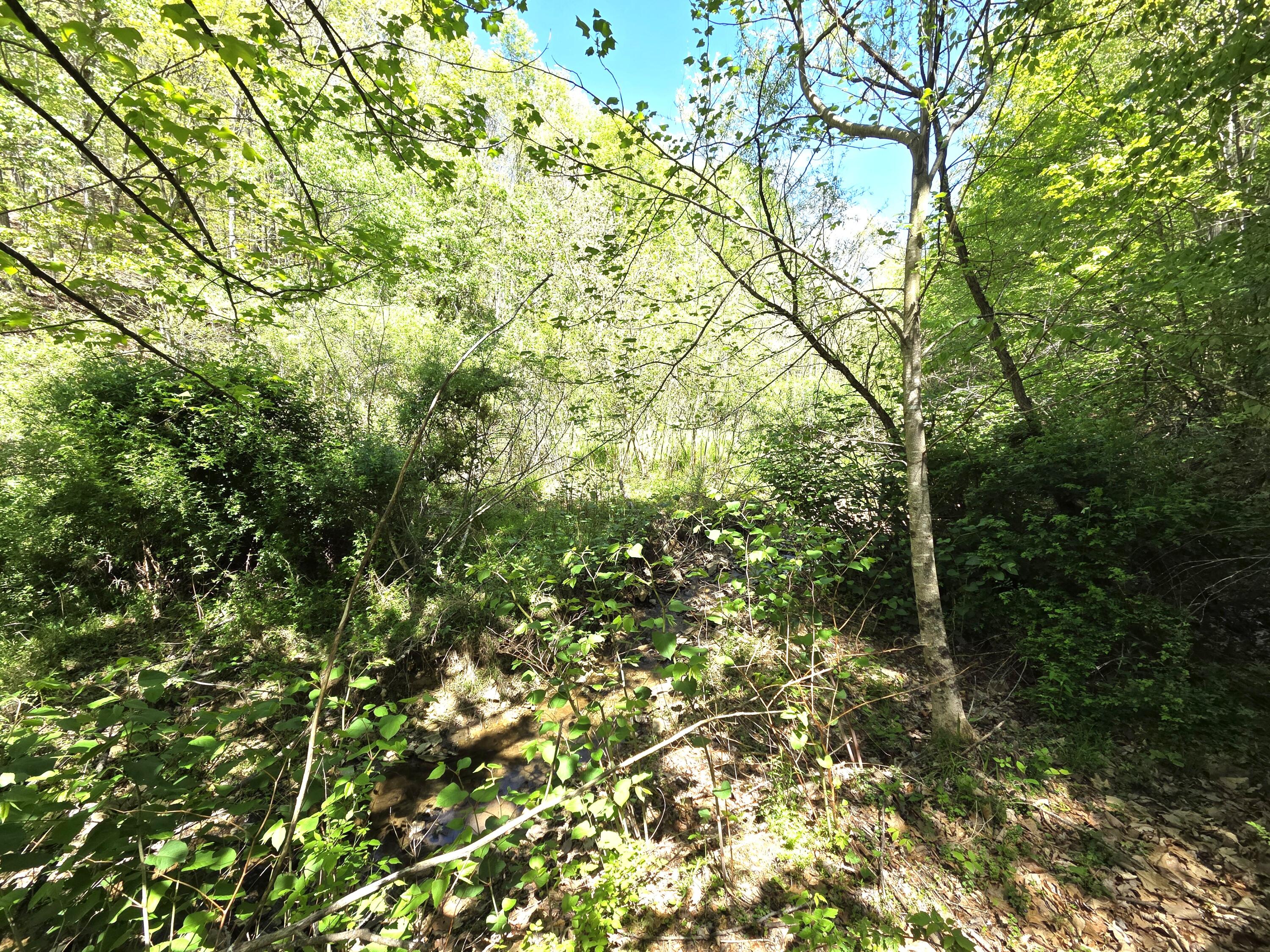 345 Panther Run Road Lindside, WV 24951 - Photo 24 of 31 Gallery Image 24