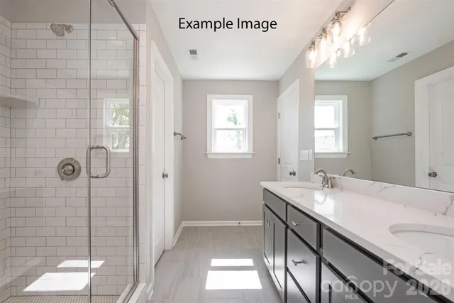 a bathroom with a double vanity sink mirror and shower