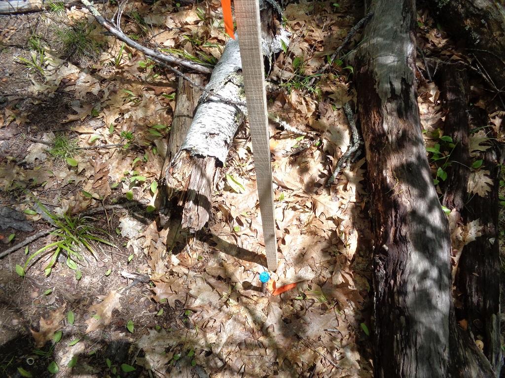 M8-l50 River Road Norridgewock, ME 04957 - Photo 17 of 23 10