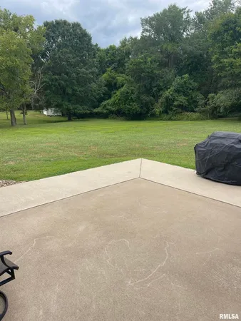 a view of a field with an trees in the background