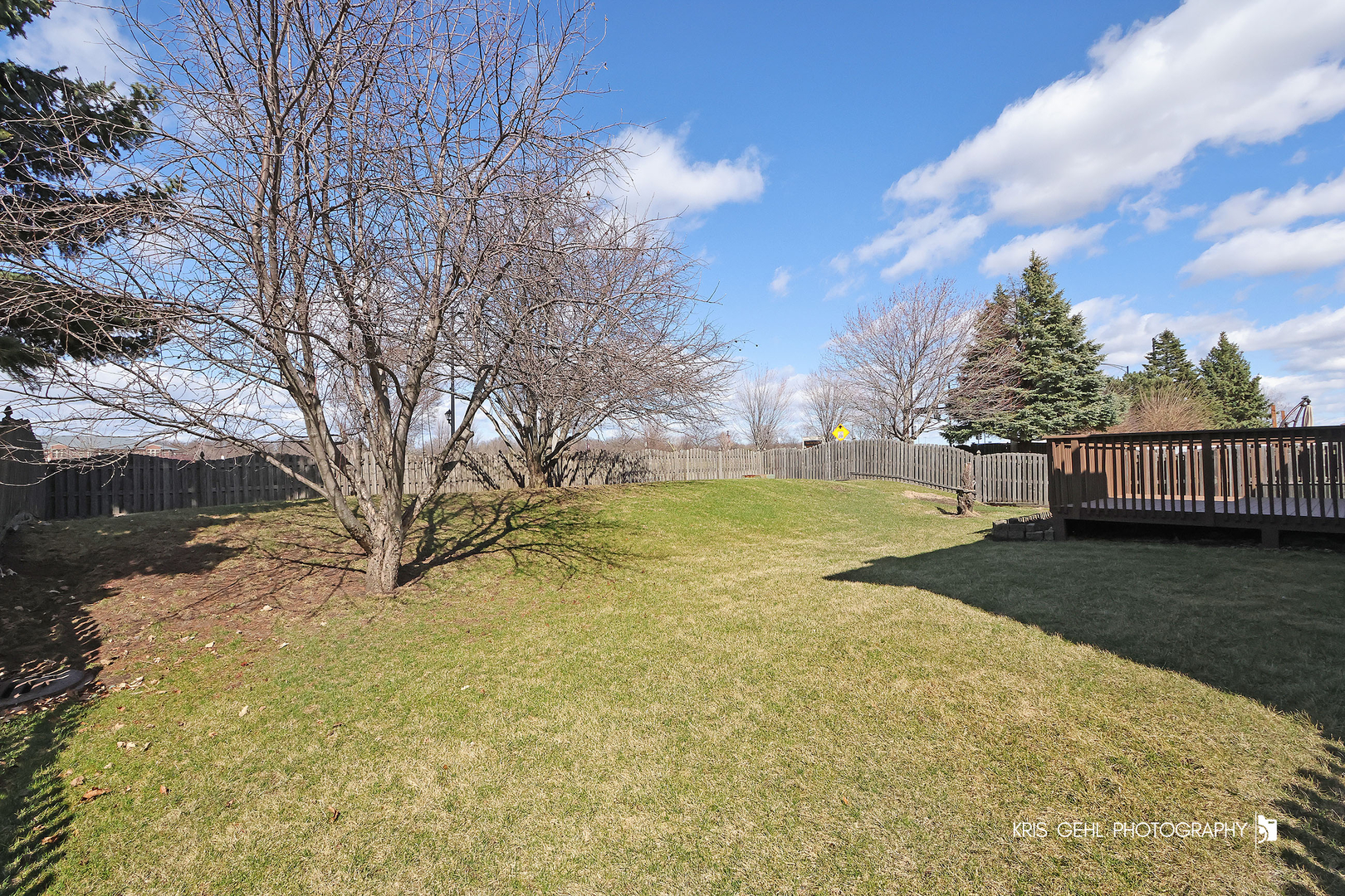 1038 Redondo Drive Romeoville, IL 60446 - Photo 19 of 23 a view of an outdoor space and yard
