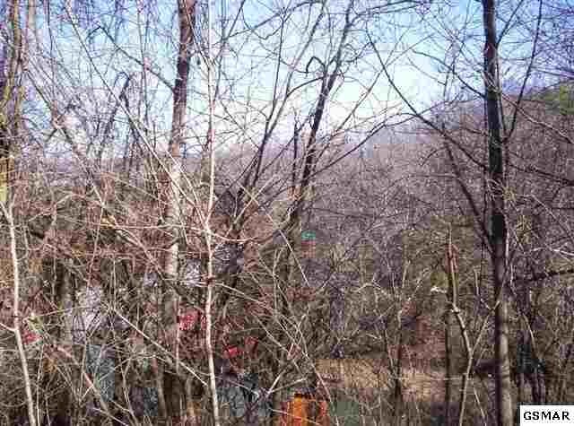 37 Hideaway Ridge Circle Sevierville, TN 37862 - Photo 9 of 10 Gallery Image 9