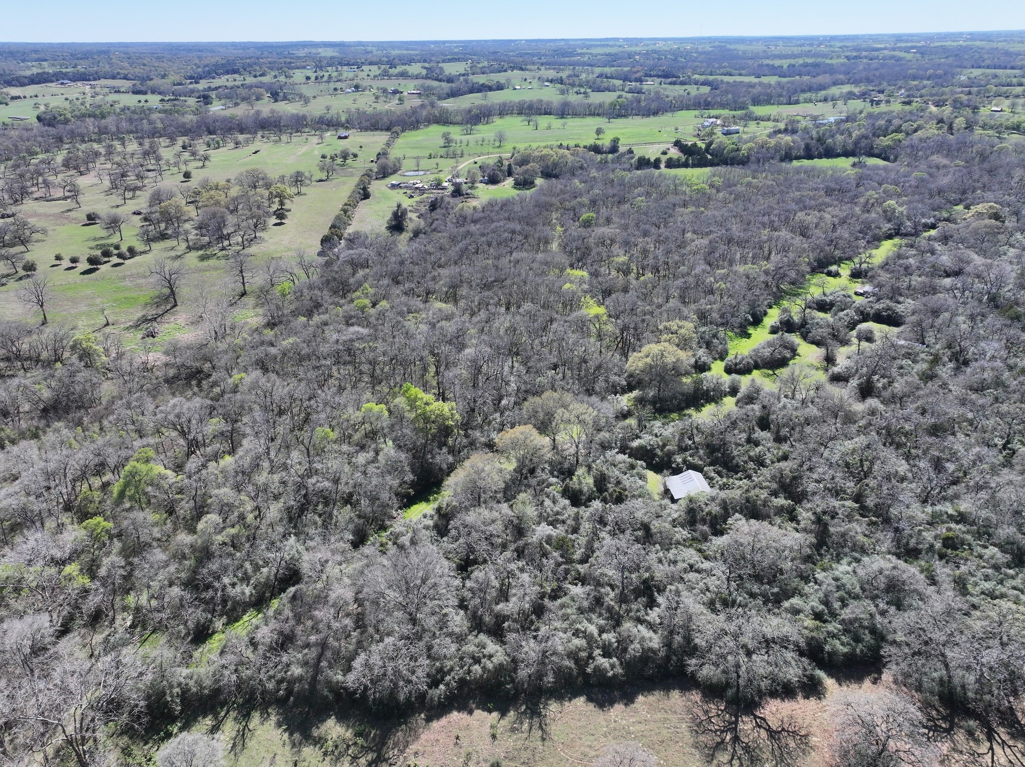 0 Zettel Road New Ulm, TX 78950 - Photo 11 of 11