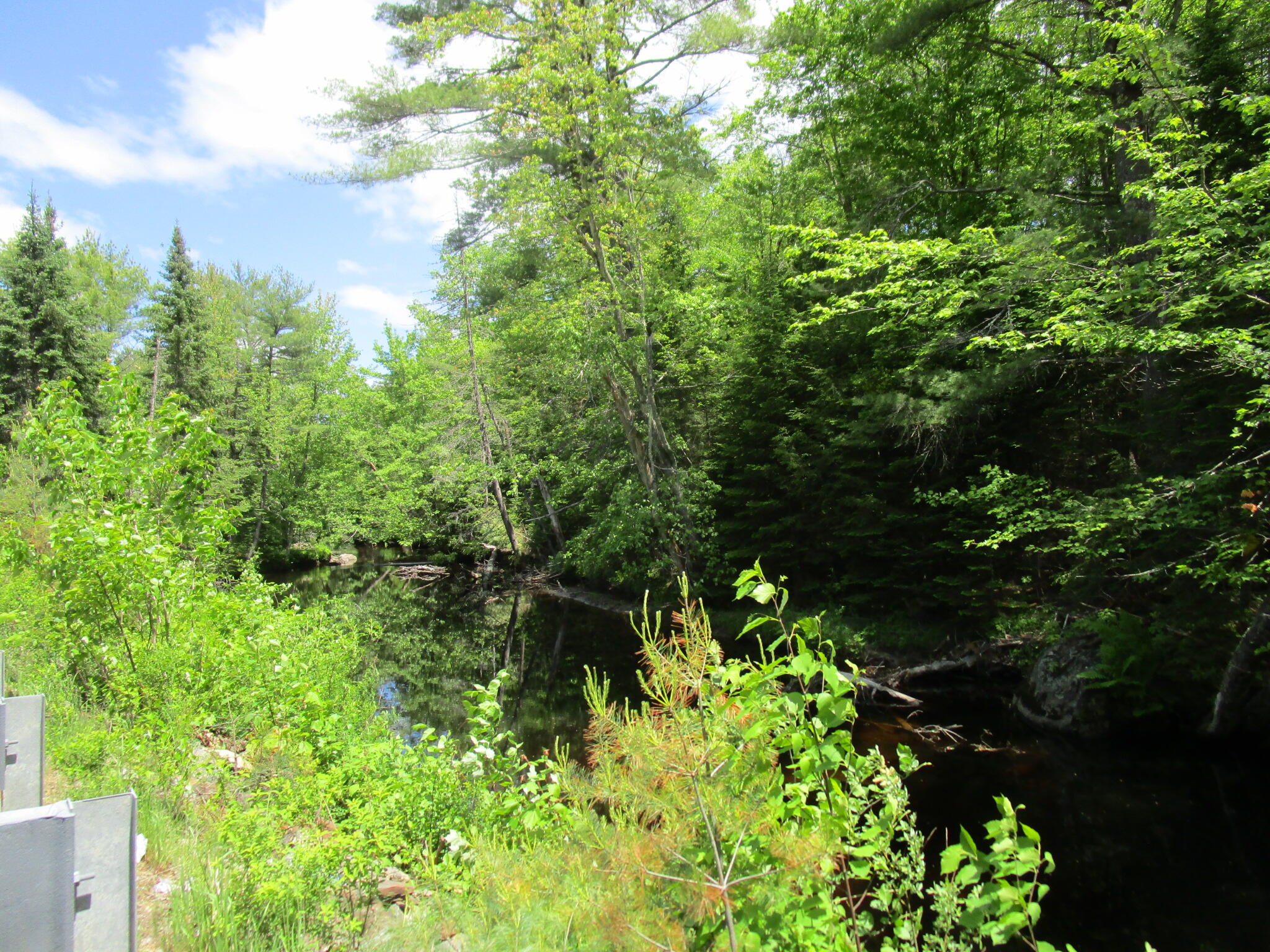 140 Buckfield Road Paris, ME 04281 - Photo 6 of 6 Vigna2