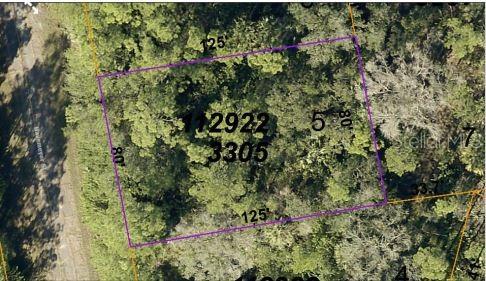 Havemeyer St Port North Port, FL 34288 - Photo 3 of 5 a view of a garden with plants