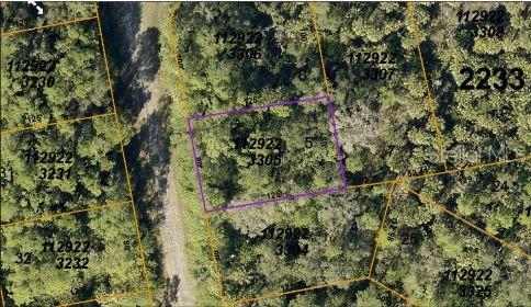 Havemeyer St Port North Port, FL 34288 - Photo 4 of 5 a view of a house with a tree