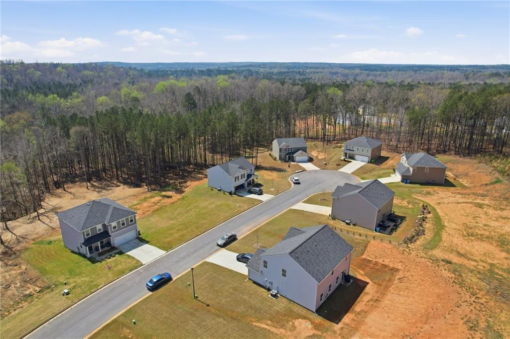 75 Great Ravine Trail Covington, GA 30016 - Photo 26 of 26