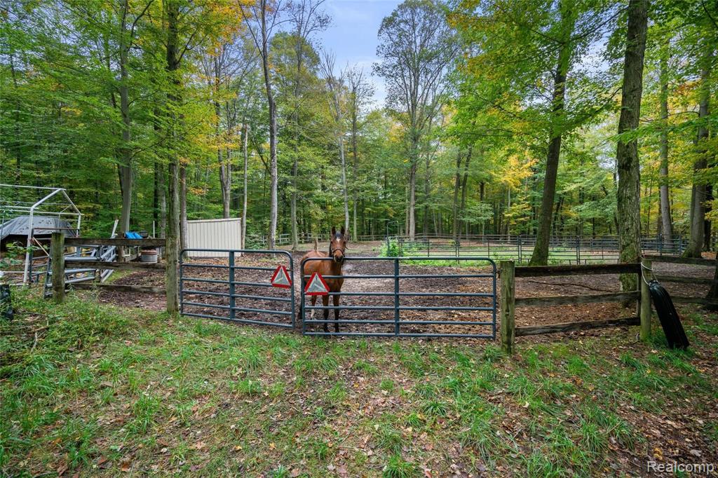 333 Rock Valley Road Metamora, MI 48455 - Photo 47 of 48 Gallery Image 47