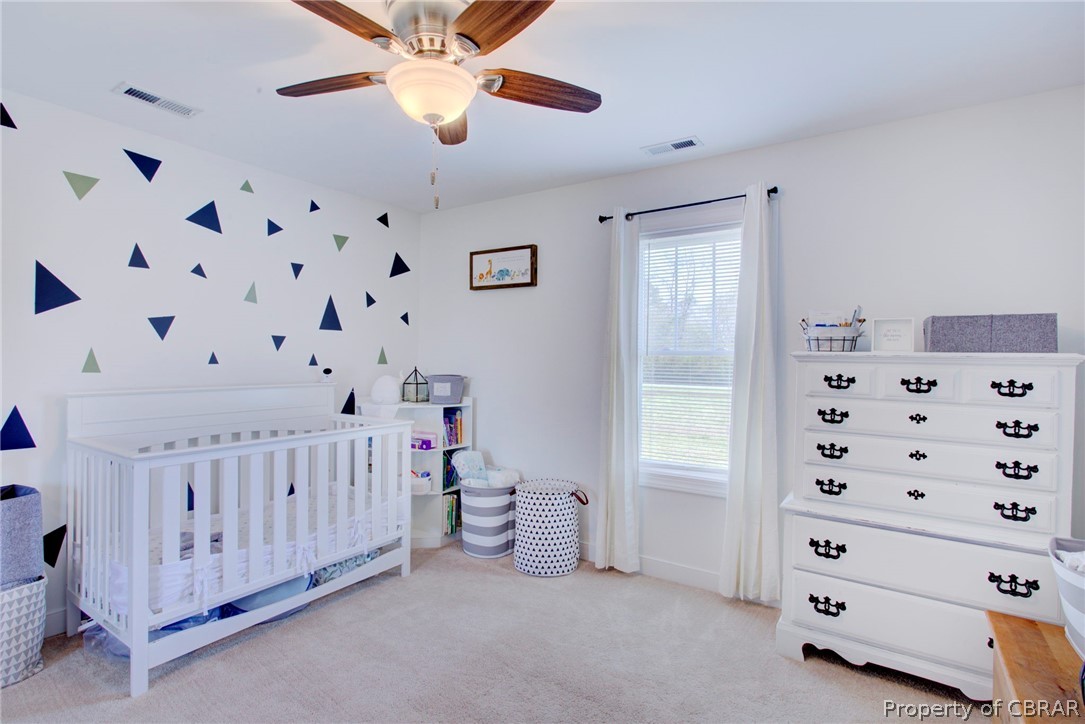 227 Ballast Point Road Hudgins, VA 23076 - Photo 12 of 20