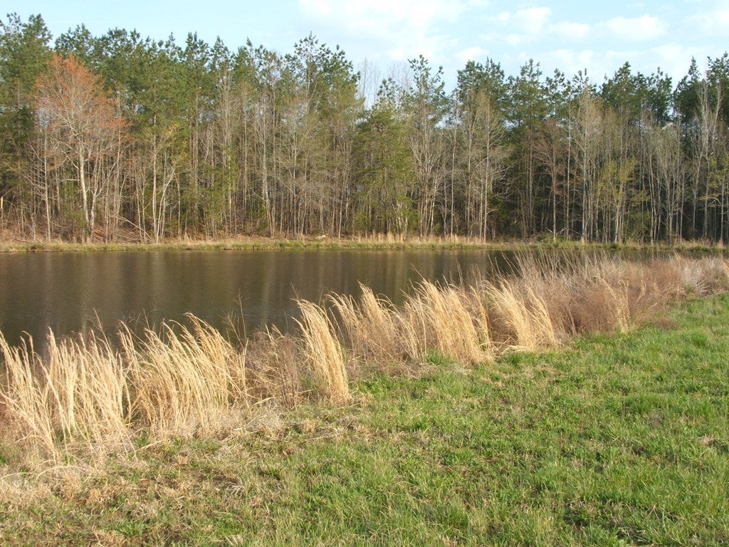 2600 Fearstown Road Randolph, VA 23962 - Photo 19 of 26 Gallery Image 19
