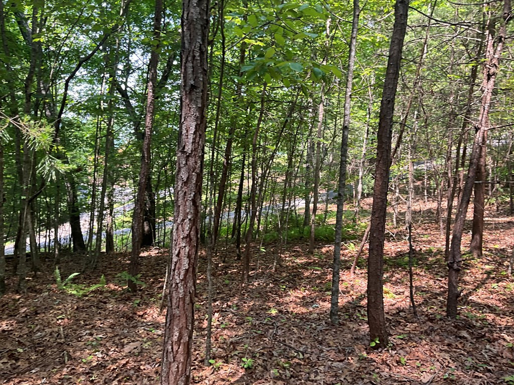 5 Birds View Lane Murphy, NC 28906 - Photo 15 of 17