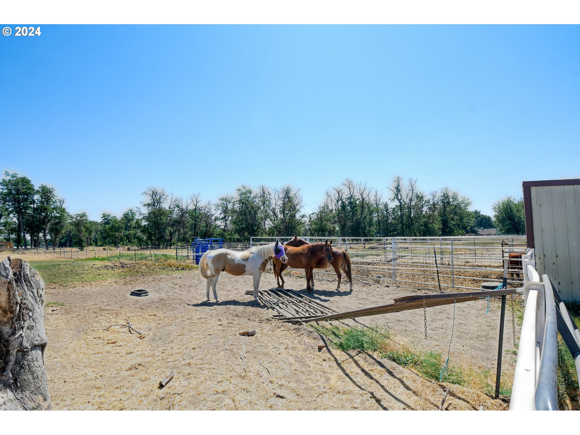 29477 Knight Road Hermiston, OR 97838 - Photo 29 of 30 Gallery Image 29