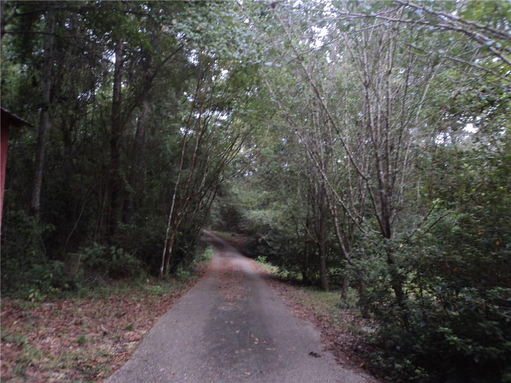 80410 Bob Baxter Road Bush, LA 70431 - Photo 4 of 22 Gallery Image 4