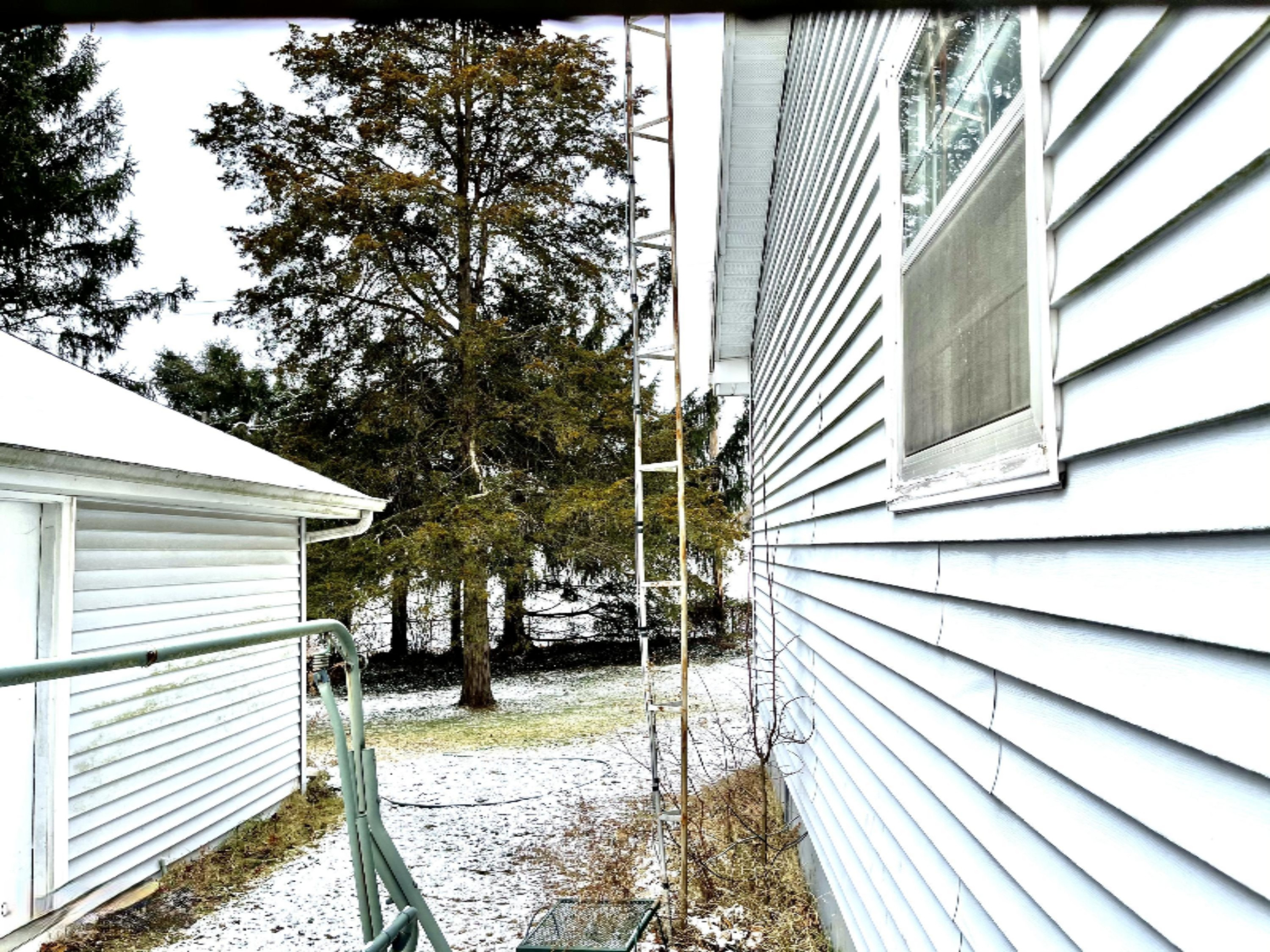 9193 22 Mile Road Homer, MI 49245 - Photo 6 of 20 32D5FEF0-56DC-48E5-91A9-51ED3C9E7D4A