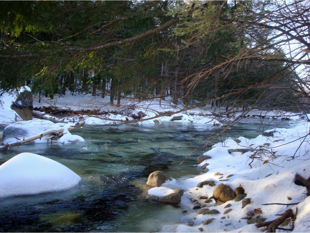 1755 Fowler River Road Alexandria, NH 03222 - Photo 17 of 22
