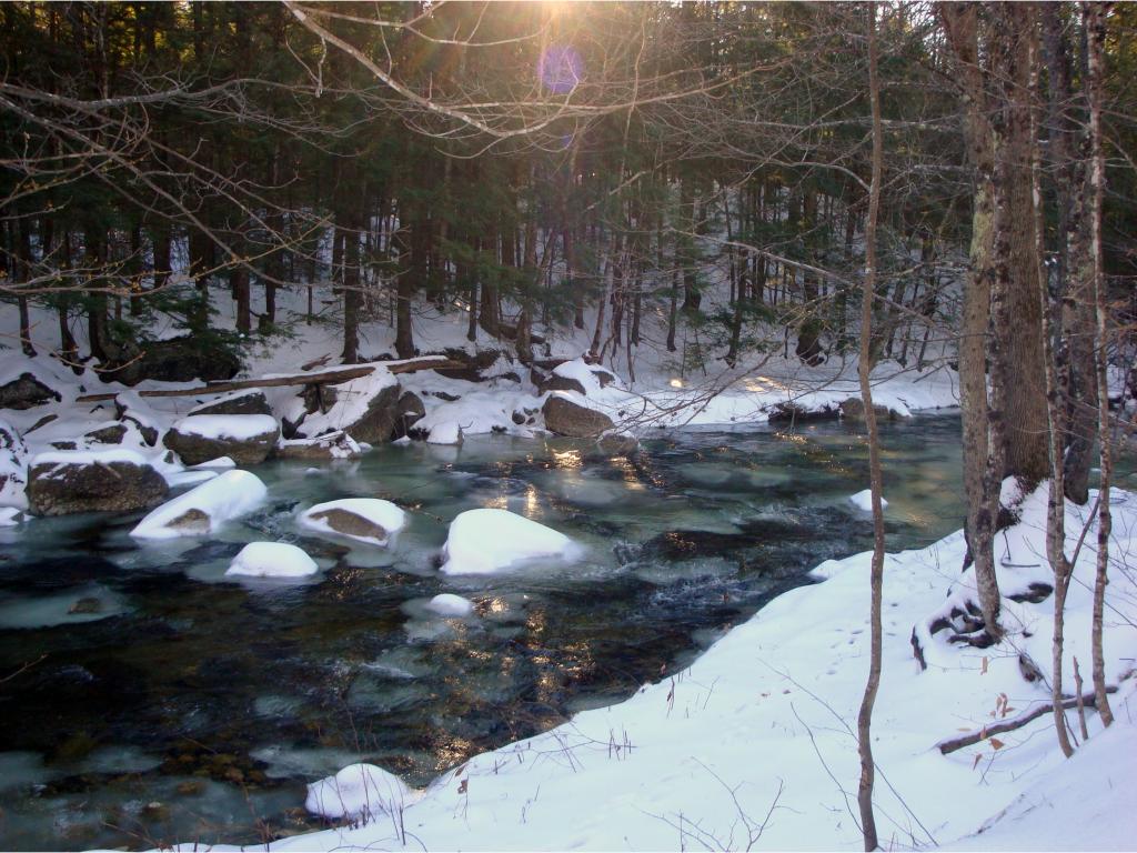 1755 Fowler River Road Alexandria, NH 03222 - Photo 18 of 22