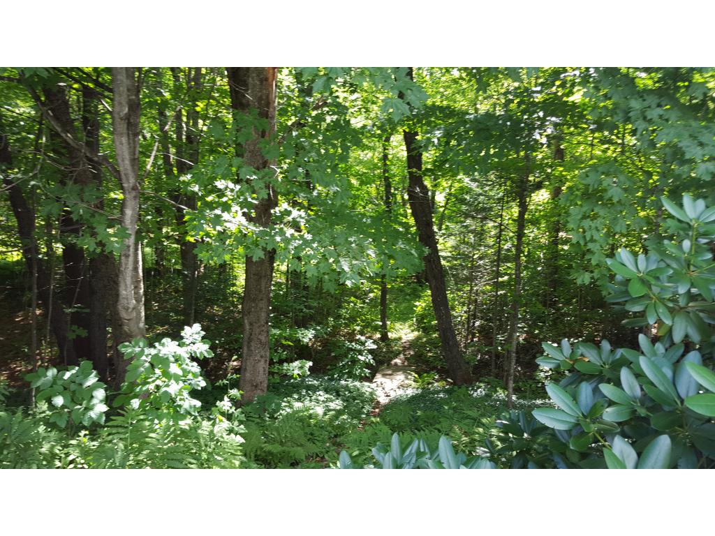1755 Fowler River Road Alexandria, NH 03222 - Photo 7 of 22