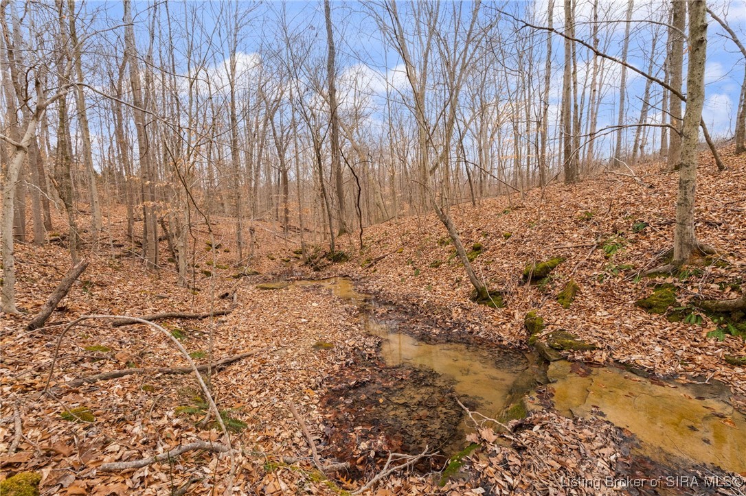 1115 East Beasley Road English, IN 47118 - Photo 79 of 97