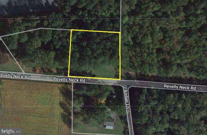 40 Revells Neck Road Westover, MD 21871 - Photo 11 of 11 a small bathroom with a shower and sink