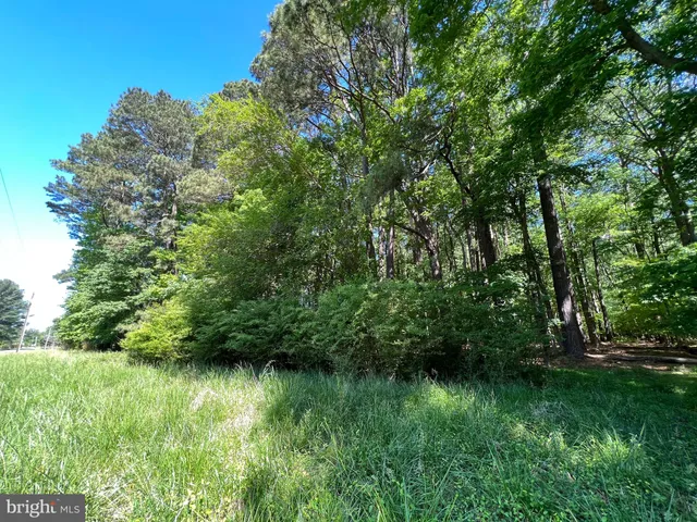 a view of outdoor space and a yard
