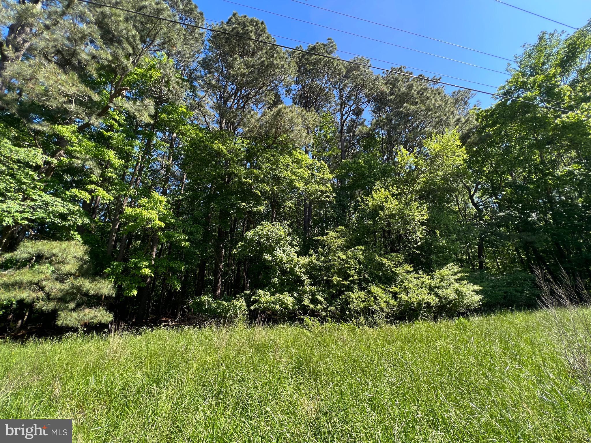 40 Revells Neck Road Westover, MD 21871 - Photo 6 of 11 a view of a garden