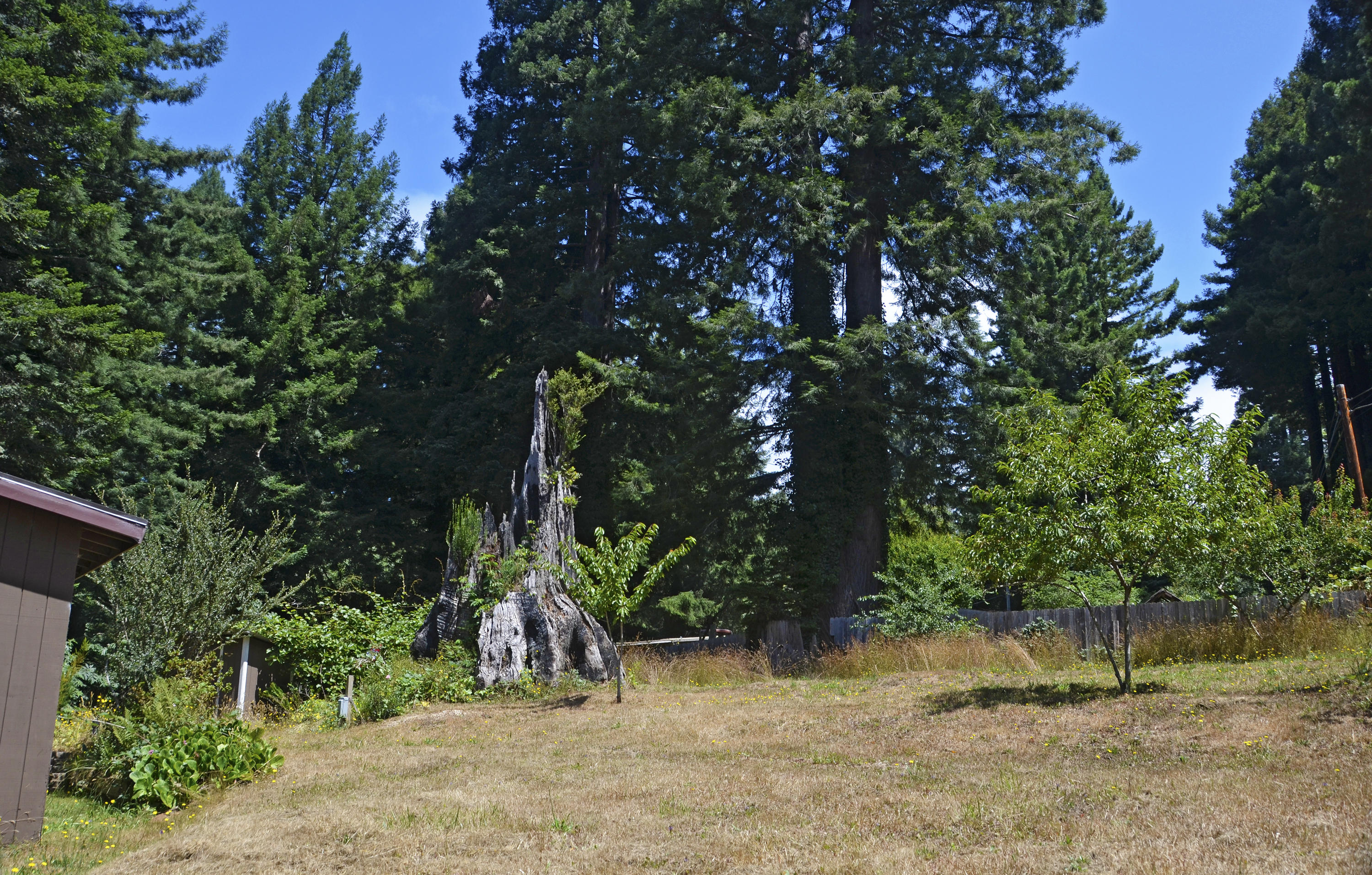 37 Fox Farm Road Trinidad, CA 95570 - Photo 40 of 55