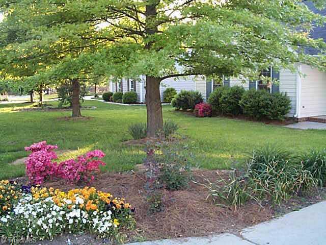 3402 Timberwolf Avenue High Point, NC 27265 - Photo 2 of 9 Other. Mature landscaping