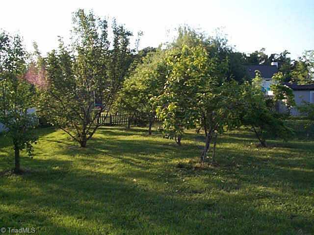 3402 Timberwolf Avenue High Point, NC 27265 - Photo 4 of 9 Other. Multiple fruit trees.