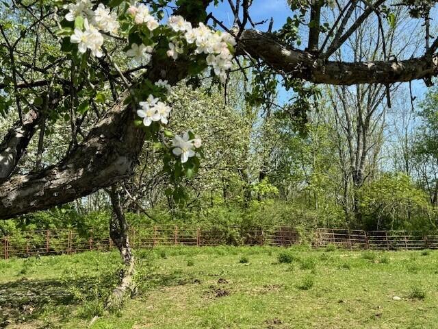 474 Simpson Road Buxton, ME 04093 - Photo 12 of 29 Pasture 1