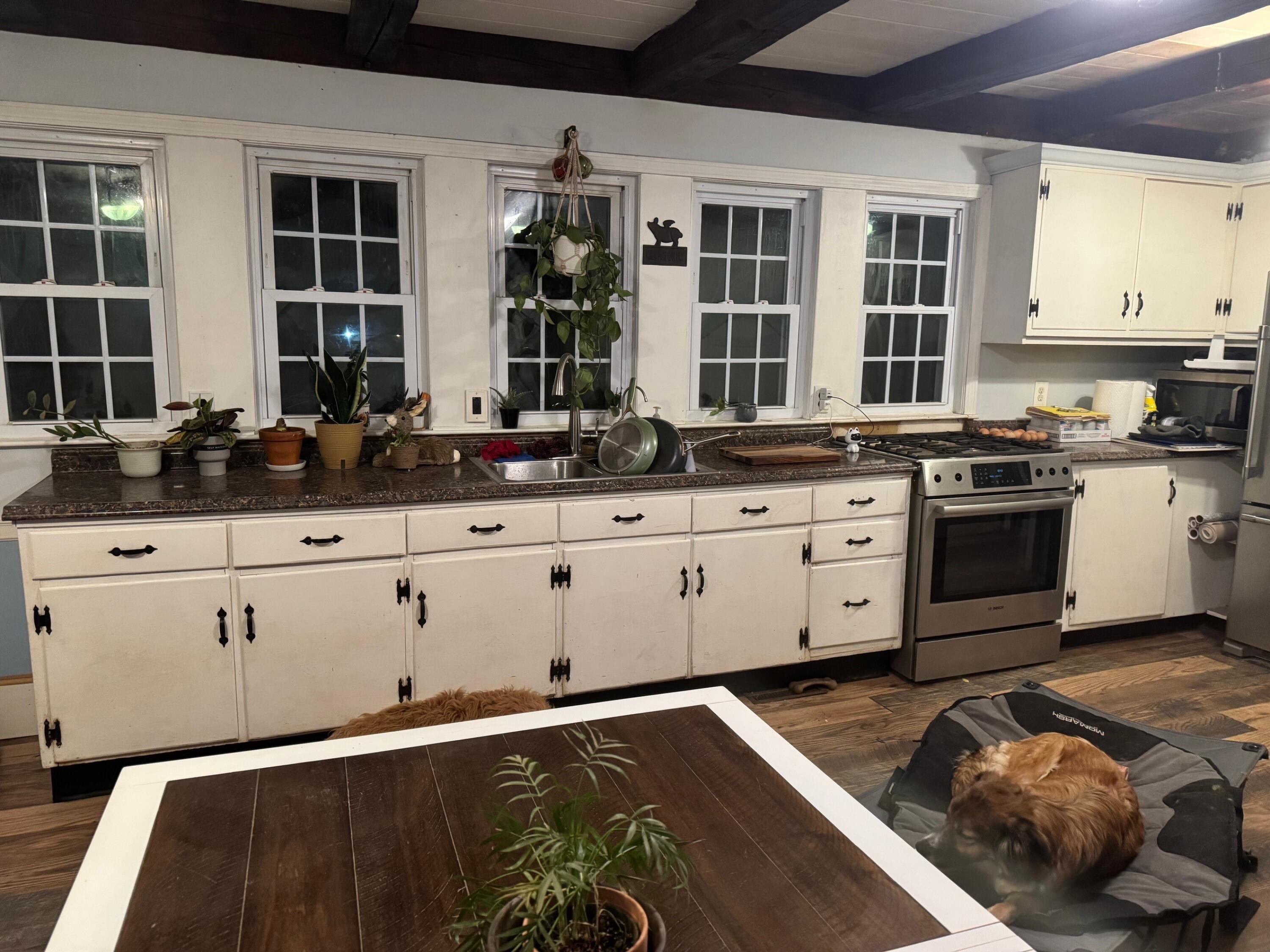 474 Simpson Road Buxton, ME 04093 - Photo 13 of 29 Kitchen with Pups