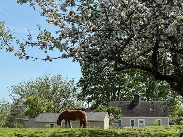 474 Simpson Road Buxton, ME 04093 - Photo 2 of 29 Rear Home Flowering Trees