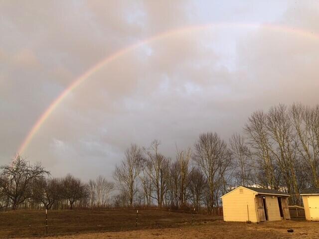 474 Simpson Road Buxton, ME 04093 - Photo 6 of 29 Rainbow Riding Area 1