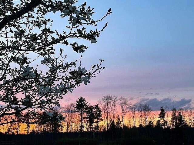 474 Simpson Road Buxton, ME 04093 - Photo 7 of 29 Sunsets
