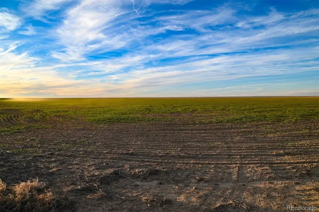 a view of an ocean beach