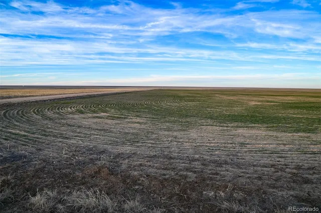 a view of an ocean beach