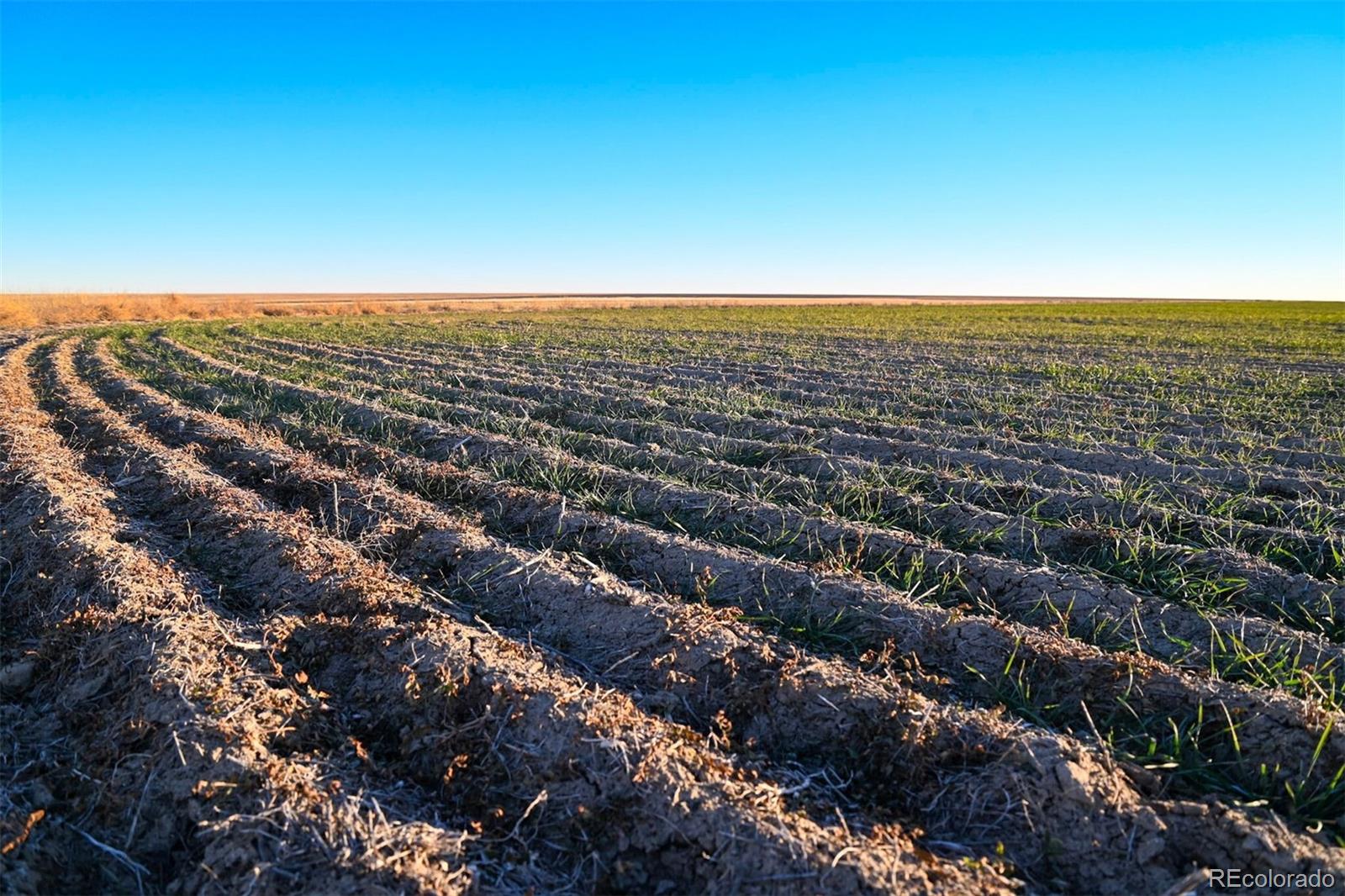 30 Tbd County Road Eads, CO 81036 - Photo 7 of 39