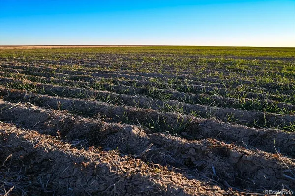 $5,250,000 | 30 Tbd County Road, Eads, CO 81036