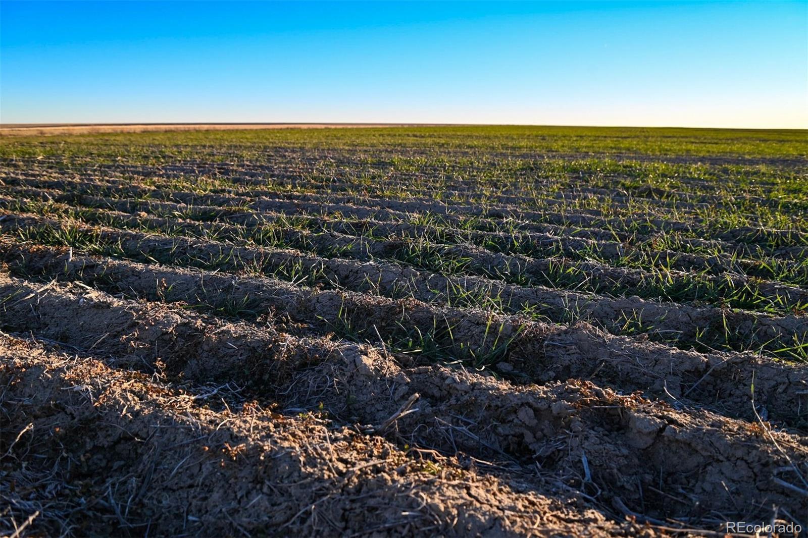 30 Tbd County Road Eads, CO 81036 - Photo 9 of 39