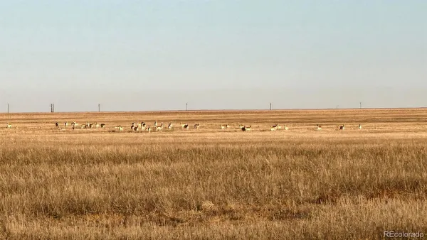$5,250,000 | 30 Tbd County Road, Eads, CO 81036