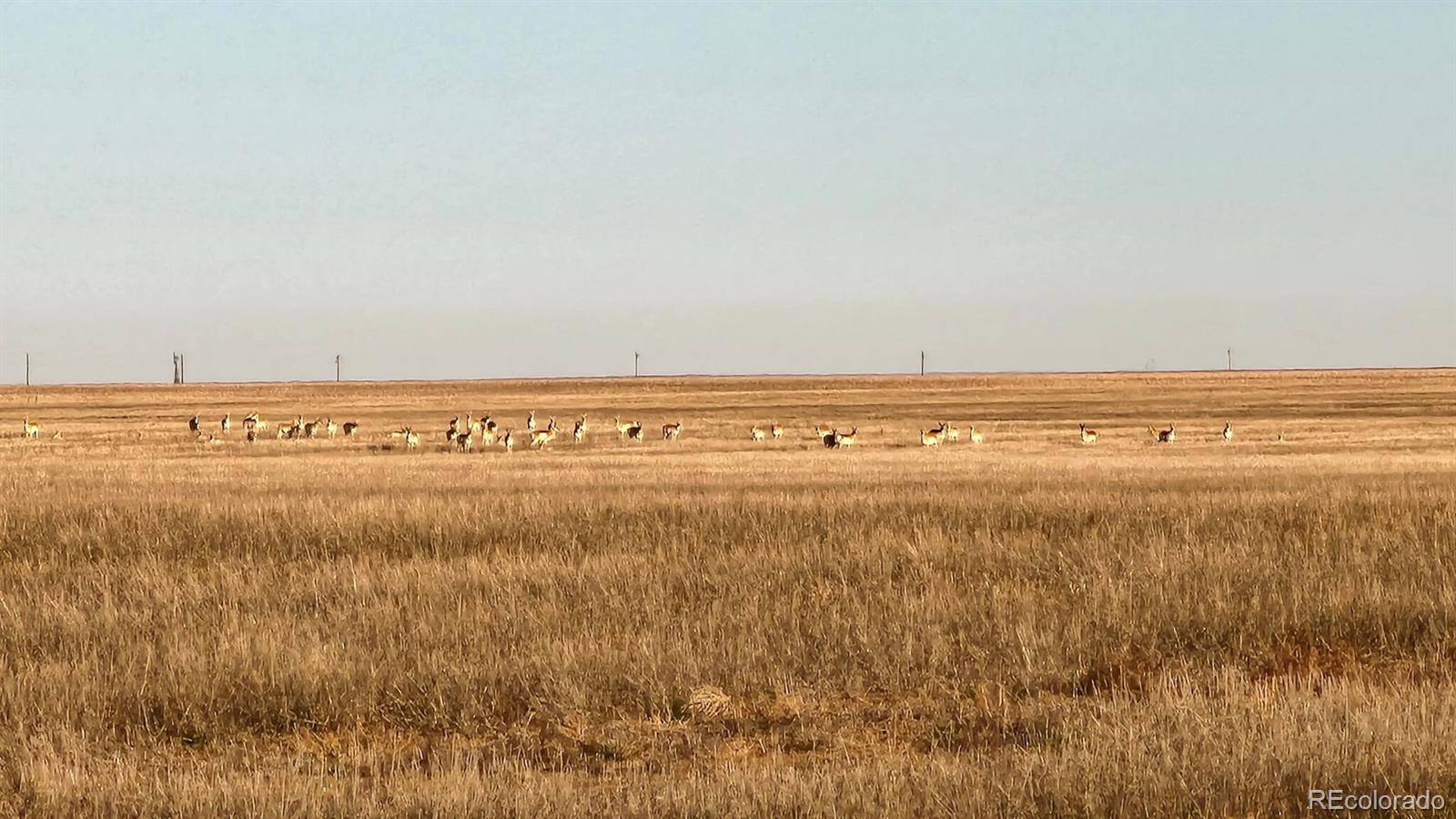 30 Tbd County Road Eads, CO 81036 - Photo 10 of 39