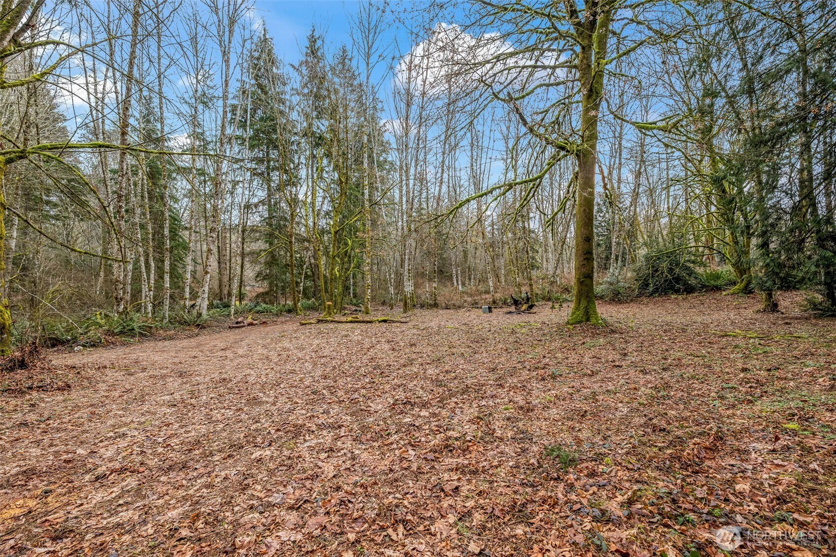 150 Southwest Spruce Road Port Orchard, WA 98367 - Photo 38 of 40 Gallery Image 38
