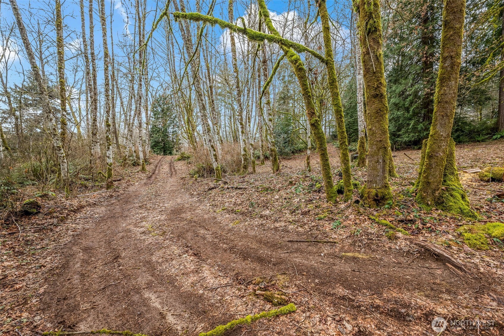 150 Southwest Spruce Road Port Orchard, WA 98367 - Photo 40 of 40 Gallery Image 40