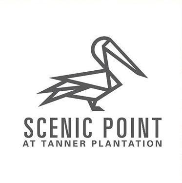 7000 Carolina Rose Road Hanahan, SC 29410 - Photo 10 of 33 scenic point