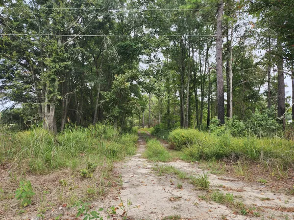 $120,000 | 0 Spring Dell Way, St. Stephen, SC 29479