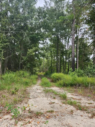 $120,000 | 0 Spring Dell Way, St. Stephen, SC 29479