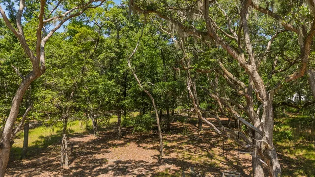 $210,000 | 31 Tupelo Trail, Edisto Island, SC 29438