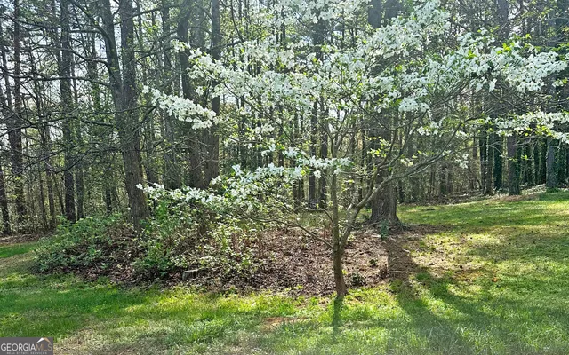 $724,900 | 850 Long Road, Toccoa, GA 30577